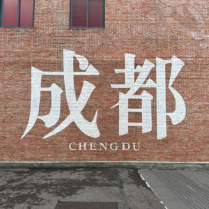 1-成都真的是一座包容的城市吗？