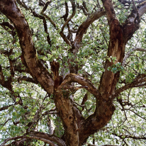 鬼台第491期:住在时间里的人