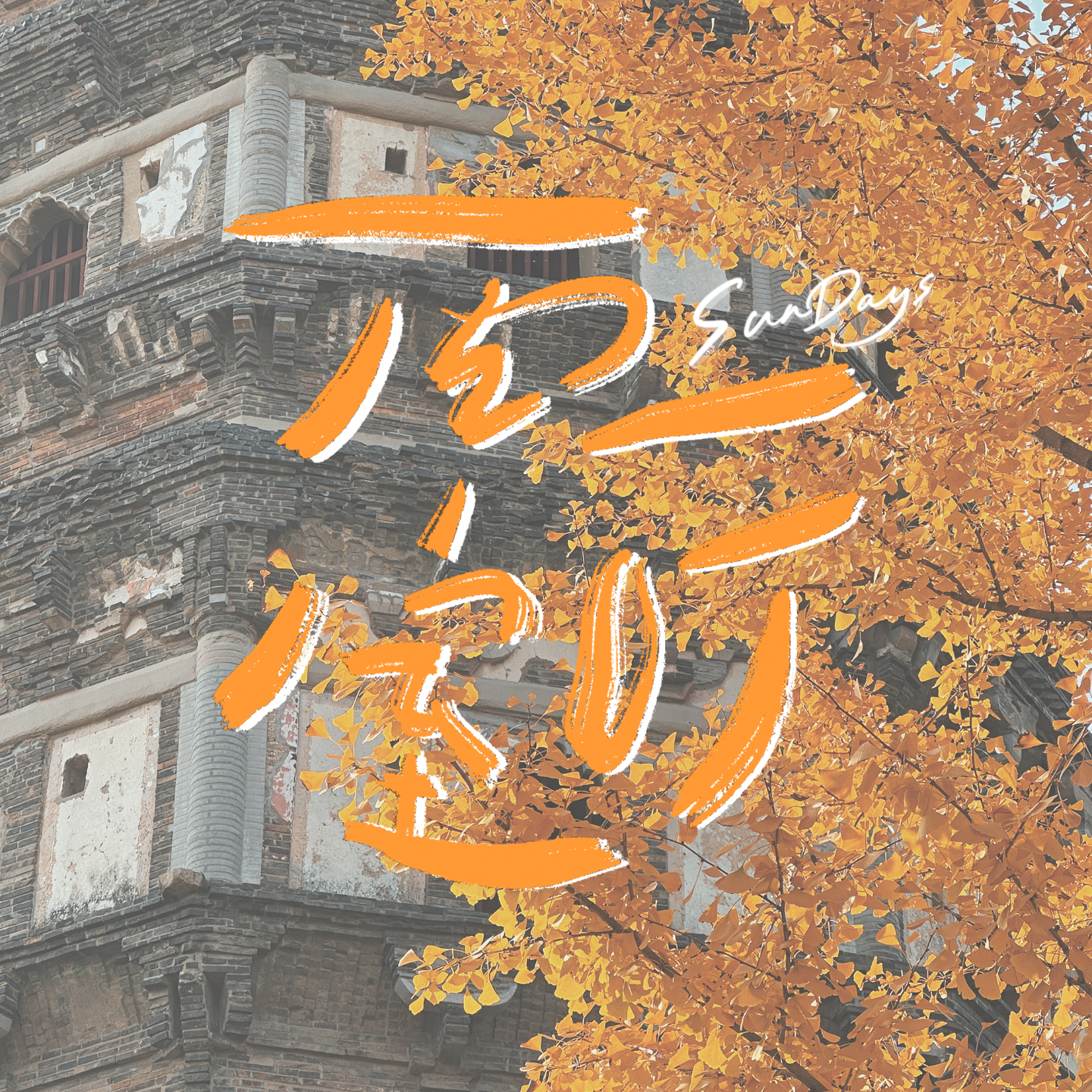 139｜回到小城市的我们，生活有变得更好吗？