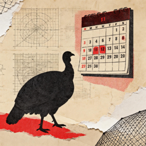 E67 别做那只在圣诞节等死的火鸡，《科学发现的逻辑》戳破了归纳法的致命幻觉