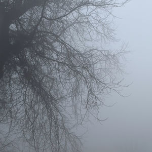 第一本《悉达多》第一部 婆罗门之子