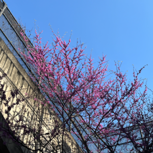 100期特辑 | 愿你建立内在系统，也愿你活得丰盈从容