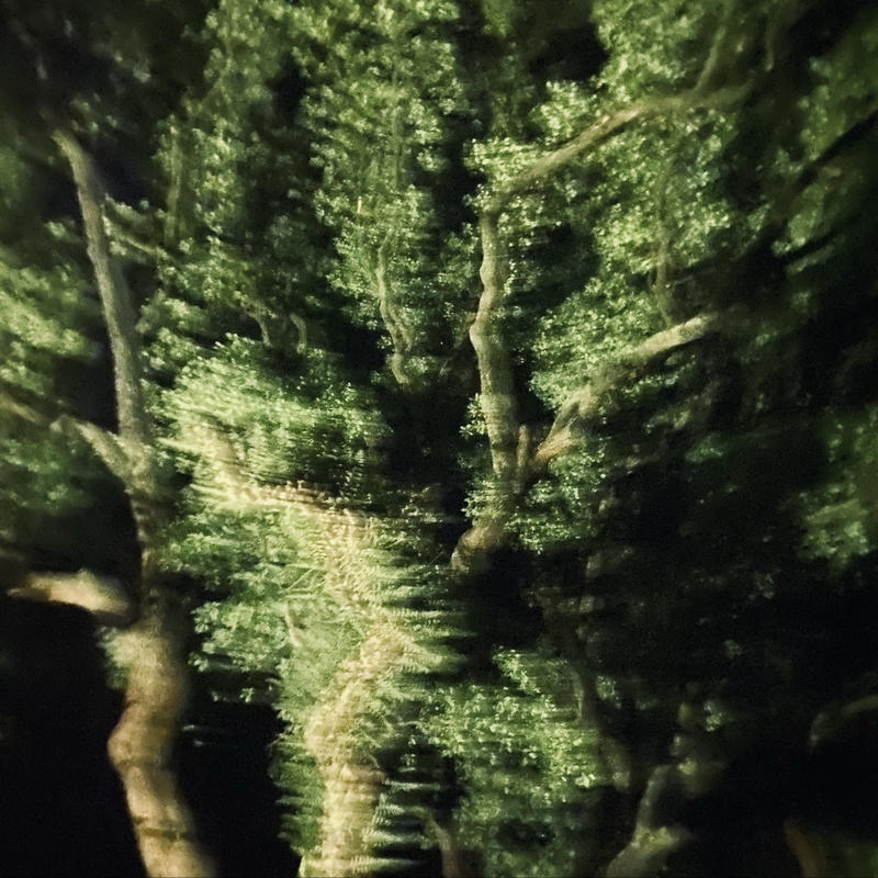 podcast-avatar
