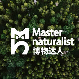 你知道世界上有几种斑马吗？