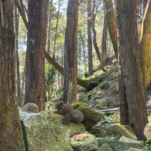 026.人际关系不是你和别人的关系,而是你跟自己的关系!(下)