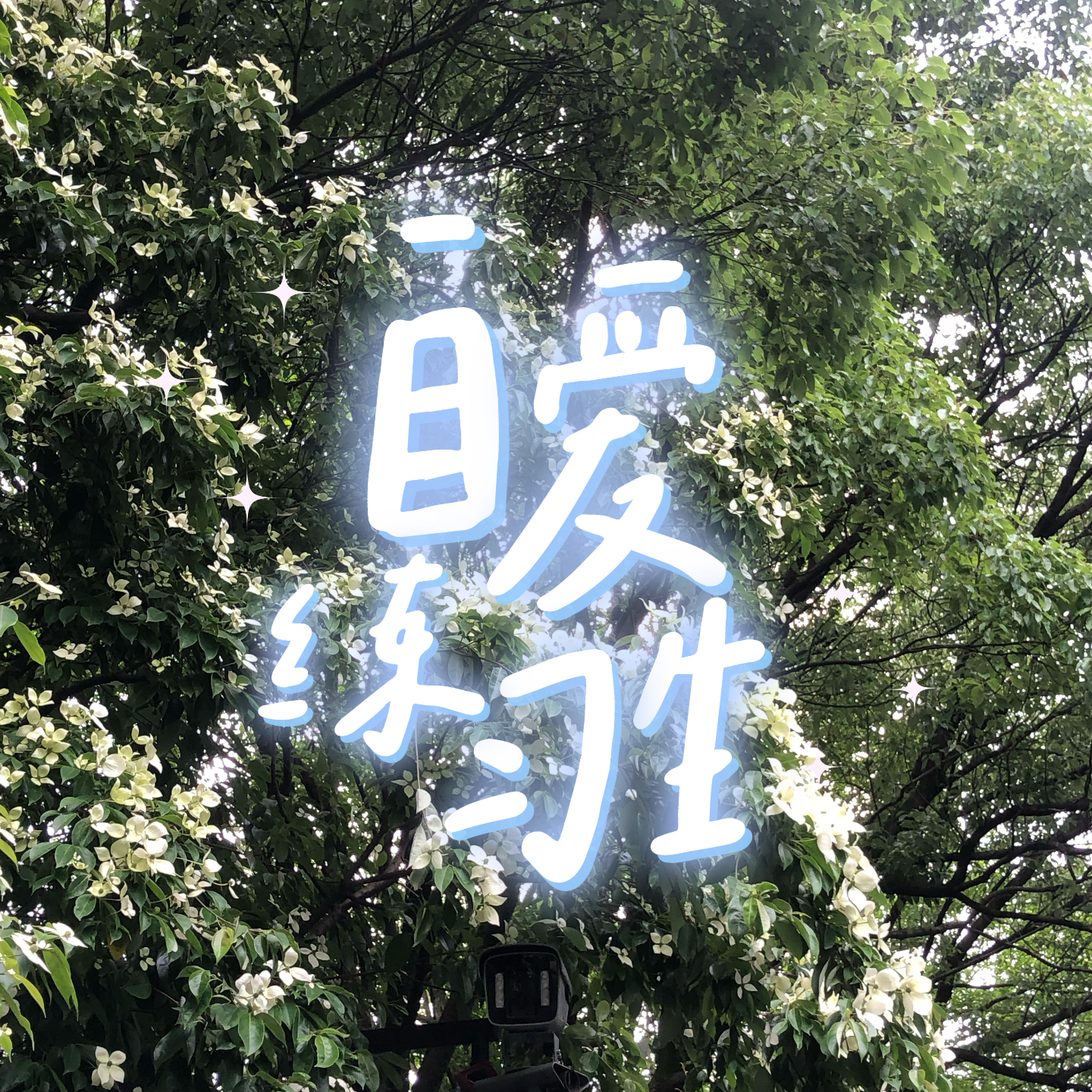 cover of episode E100. 20+女孩趁早该知道的10个人生建议(上）