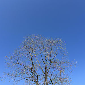 认识你自己，破解他人的三角测量