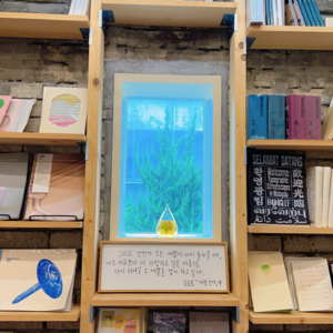 E47 韩国首尔真的像县城?我们日行2万步才敢说真话!