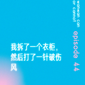 EP44｜我拆了一个衣柜，然后打了一针破伤风