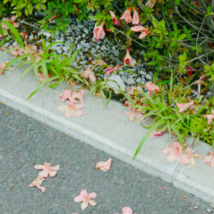 “带了相机却没拍照片”|你也会有摄影的懊恼时刻吗?