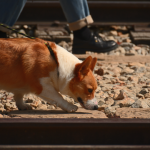36，极化信息把我们像臭狗一样玩耍