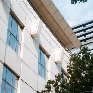 所有曾经存在过的瞬间一起绽放