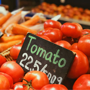 每日例汤DailySoup