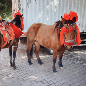 001 | 在出差时见证一百对新人喜结连理，是怎样一种体验？