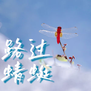 路过蜻蜓