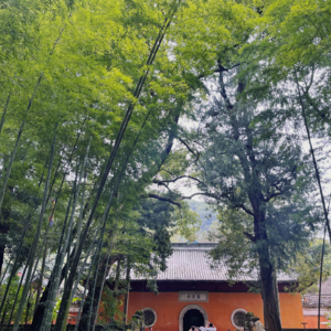 EP45-小众旅行地|假如给你三天时间，你能在台州干什么