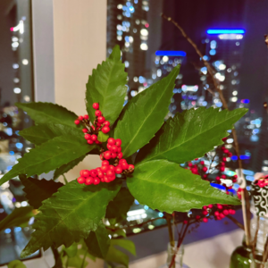 37 原来不止我这样：让人小吃一惊的兴趣爱好