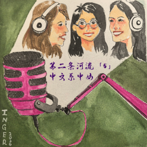 「5」毕业16年的中文系女生，你们好吗？