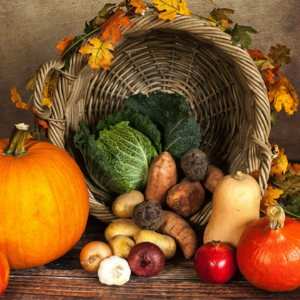 禅修｜吃素是自己的人生态度