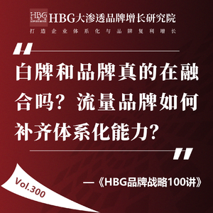 Vol.300 白牌和品牌真的在融合吗？流量品牌如何补齐体系化能力？