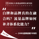 Vol.300 白牌和品牌真的在融合吗？流量品牌如何补齐体系化能力？