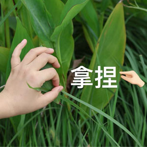 高蓉蓉医生的经筋美颜术的跟读