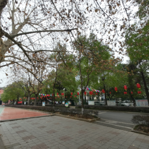 自言自语（24.12’15月考总结？）