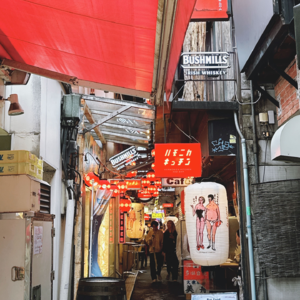 46. “只有吉祥寺是想住的街道吗？” -- 聊聊剧里的，和我体验过的吉祥寺