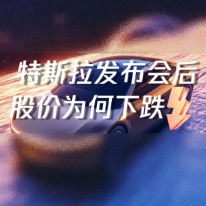 Vol.22 特斯拉发布会后股价为何下跌