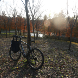 我们需要汪峰吗？需要