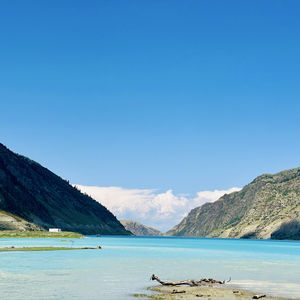 Carbohydrate读论文