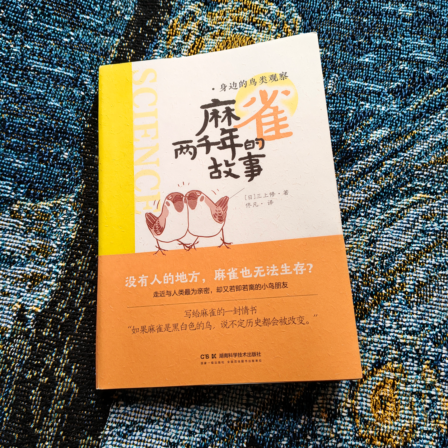 E40.窗外的麻雀：最常见的鸟，最容易被忽略的关系 episode artwork