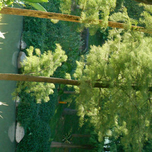 小小陈的个人播客