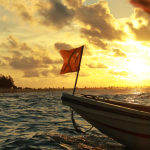 母胎单身的我脱单啦!恋爱经验开始积累!