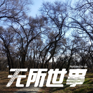 12.西屋的秘密：河北农村“三枪拍案”