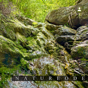 溪涧淙淙·盛夏嫩溪