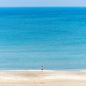 EP131 Benford定律在交易系统中的应用