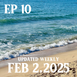 EP 10｜自析——将手术刀伸向自己