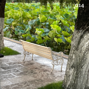 014.春城漫游记：「没有人会永远同行，但昆明记得我们相逢」