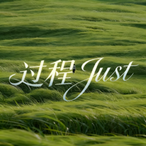 过程JUST