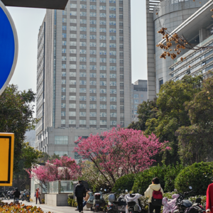 Vol.9 ¾电台丨坐在黄沙发上，必成佳话，都是传奇！