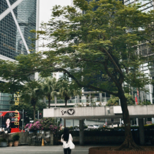 020 香港旅游的二三事，好友相处不就是我干杯你随意的相互加持