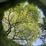 茱莉姐