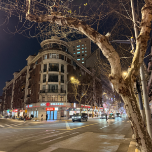 第三期-上海淮海中路（2）