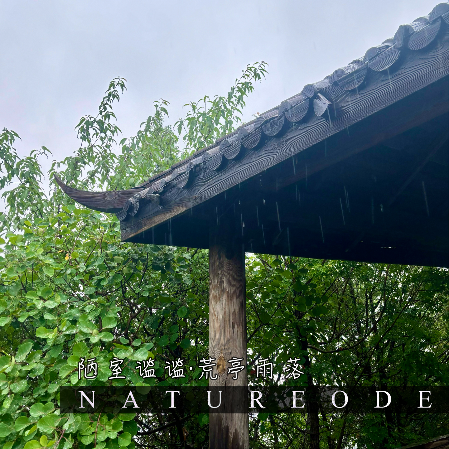 陋室谧谧·荒亭雨落 episode artwork