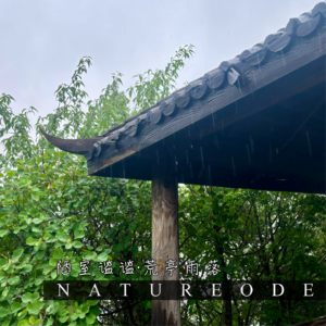 陋室谧谧·荒亭雨落
