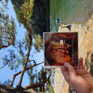 闲聊:周更!周更!保持周更!大家可以叫我“陆导”了!