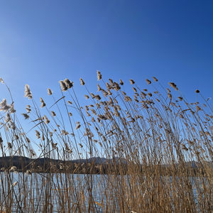 102.黑洞与时间弯曲.第八章.寻找.寻