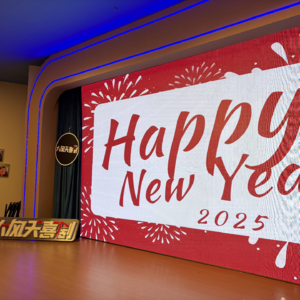 元旦特辑.大风天和Ta的朋友们