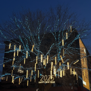 5 | 12月精神卡路里